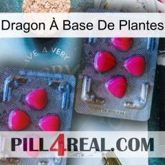 Dragon À Base De Plantes 14